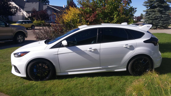Ford Focus Shark Fin Antenna